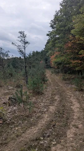 $189,900 | 0 East 14 Mile Road, Bitely, MI 49309