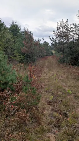 $189,900 | 0 East 14 Mile Road, Bitely, MI 49309