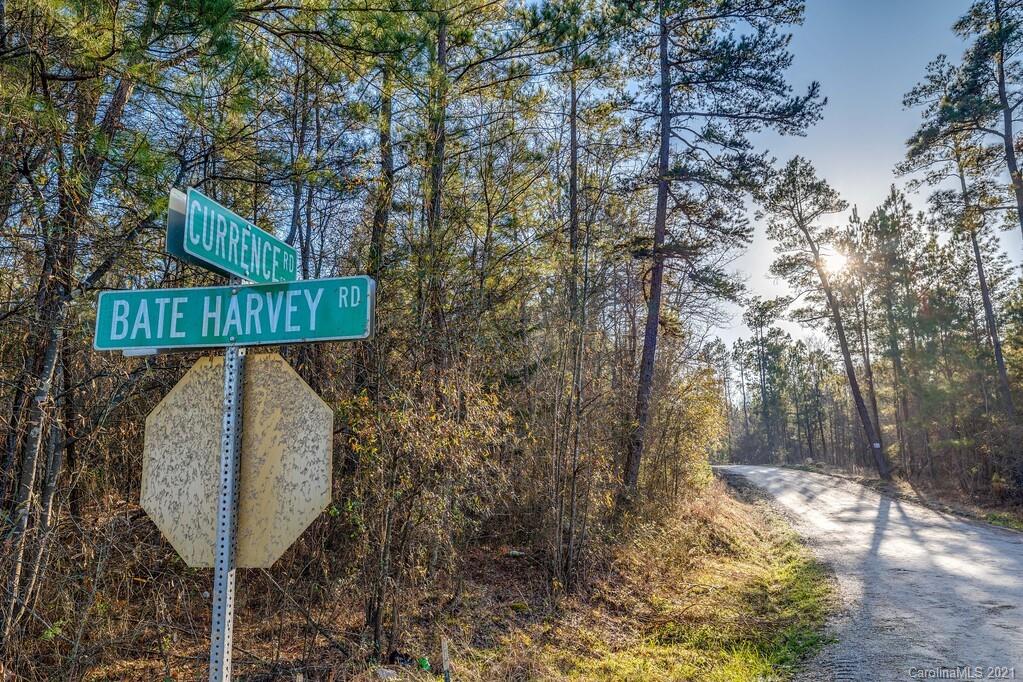 Lot 3 Bate Harvey Road, Unit 3 Clover, SC 29710 - Photo 10 of 11 Gallery Image 10