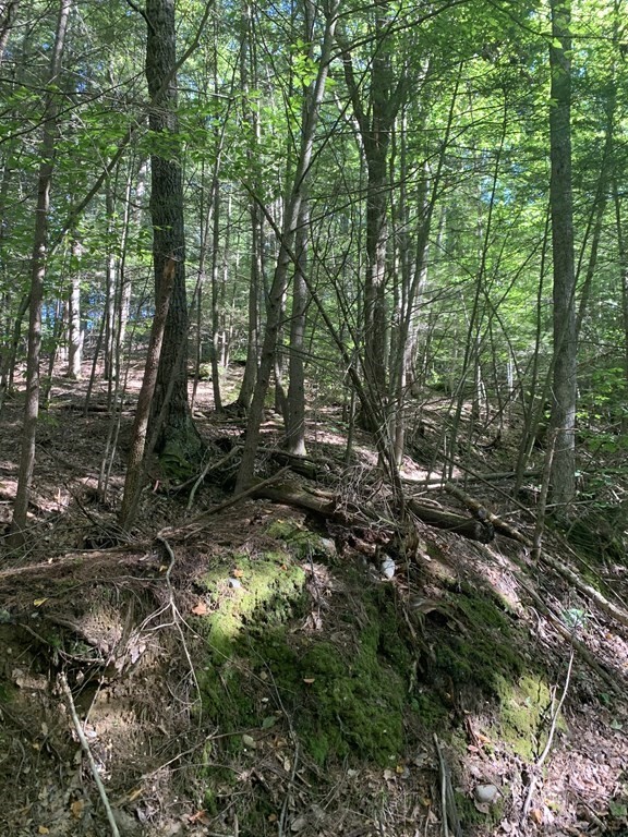 0 Pratt Hollow Road Northfield, MA 01360 - Photo 5 of 13 Gallery Image 5