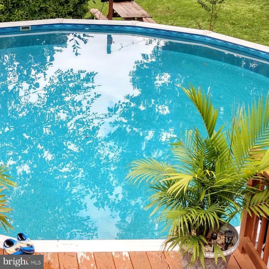 317 McKay Road Stevensville, MD 21666 - Photo 41 of 58 Warm weather fun in the above ground pool