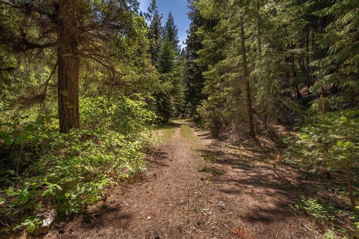 0 Callahan-cecilville Road Etna, CA 96027 - Photo 32 of 37 Gallery Image 32