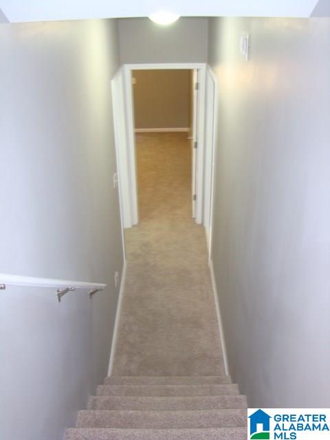 237 Stoney Way Alexandria, AL 36250 - Photo 14 of 24