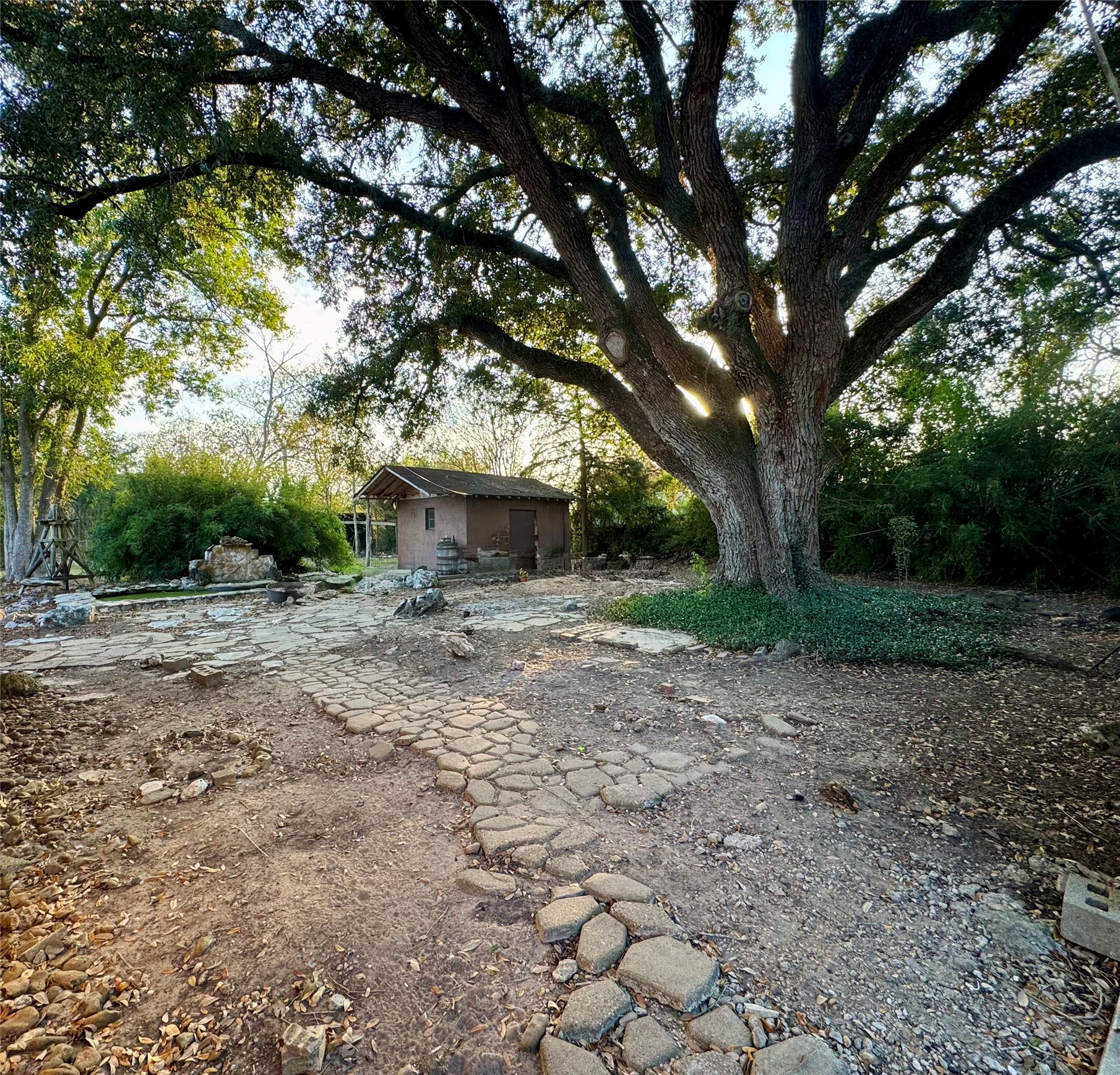 3706 College Street Damon, TX 77430 - Photo 8 of 22 a view of a yard with plants and a large tree