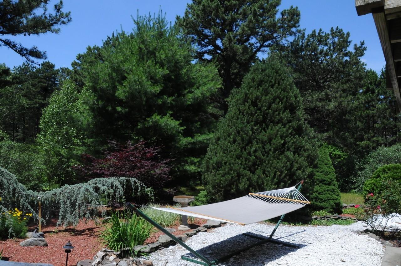 69 Wintergreen Road Mashpee, MA 02649 - Photo 18 of 21 Back Outside2