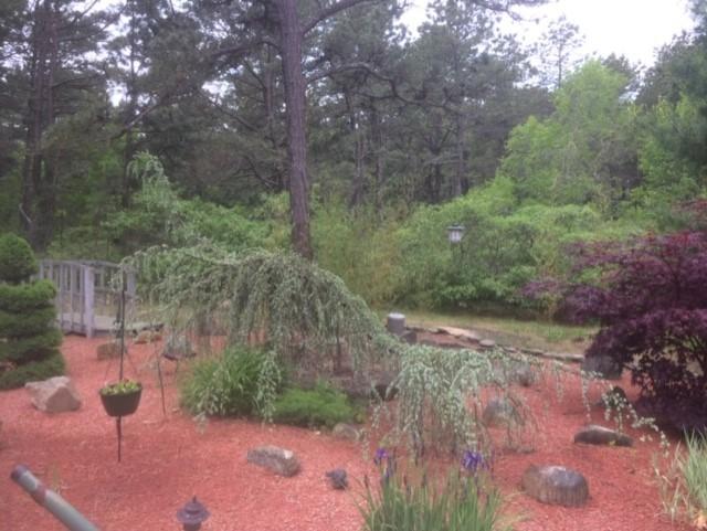 69 Wintergreen Road Mashpee, MA 02649 - Photo 20 of 21 Garden1