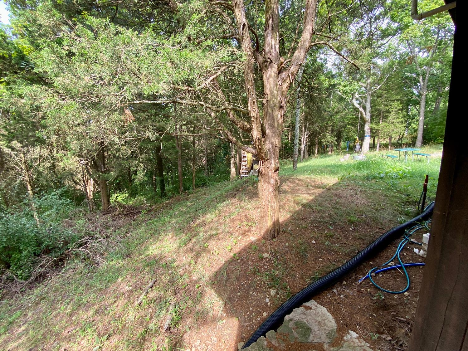 4544 Fishing Worm Ridge Road Vevay, IN 47043 - Photo 16 of 28