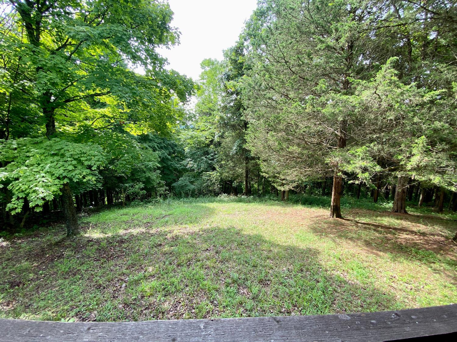 4544 Fishing Worm Ridge Road Vevay, IN 47043 - Photo 4 of 28