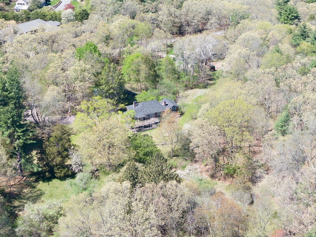 56 Ridgeway Road Weston, MA 02493 - Photo 37 of 39