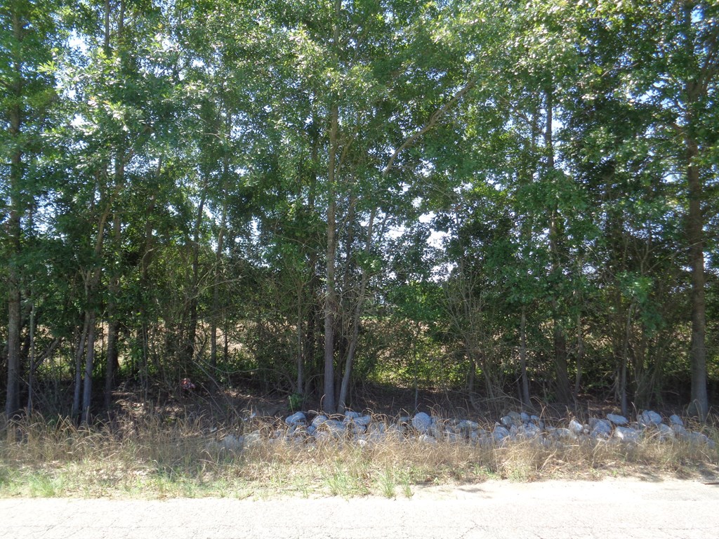 5.7-ac Littlefield Road Dothan, AL 36301 - Photo 4 of 14