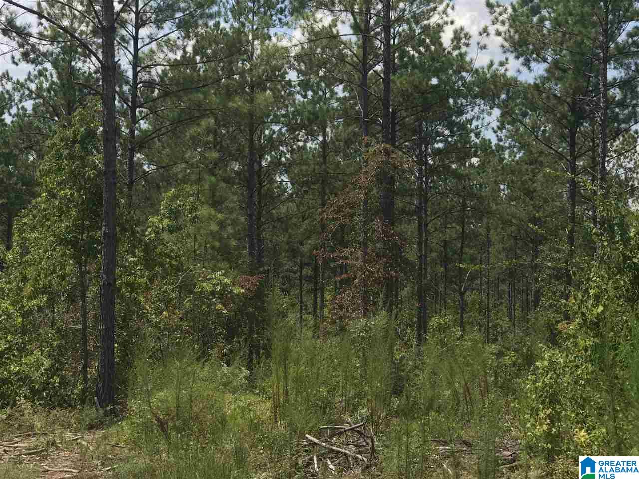 0 County Road 454 Clanton, AL 35046 - Photo 1 of 7