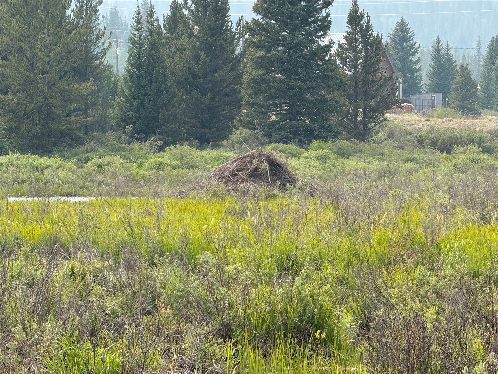 140 Kootchie Kootchie Road Alma, CO 80420 - Photo 26 of 26