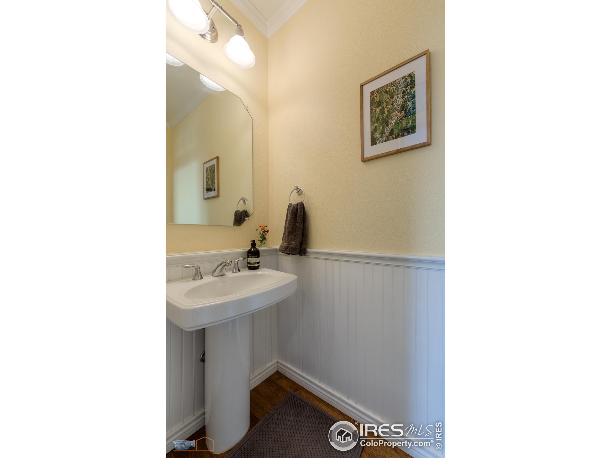 521 Homestead Street Lafayette, CO 80026 - Photo 15 of 38