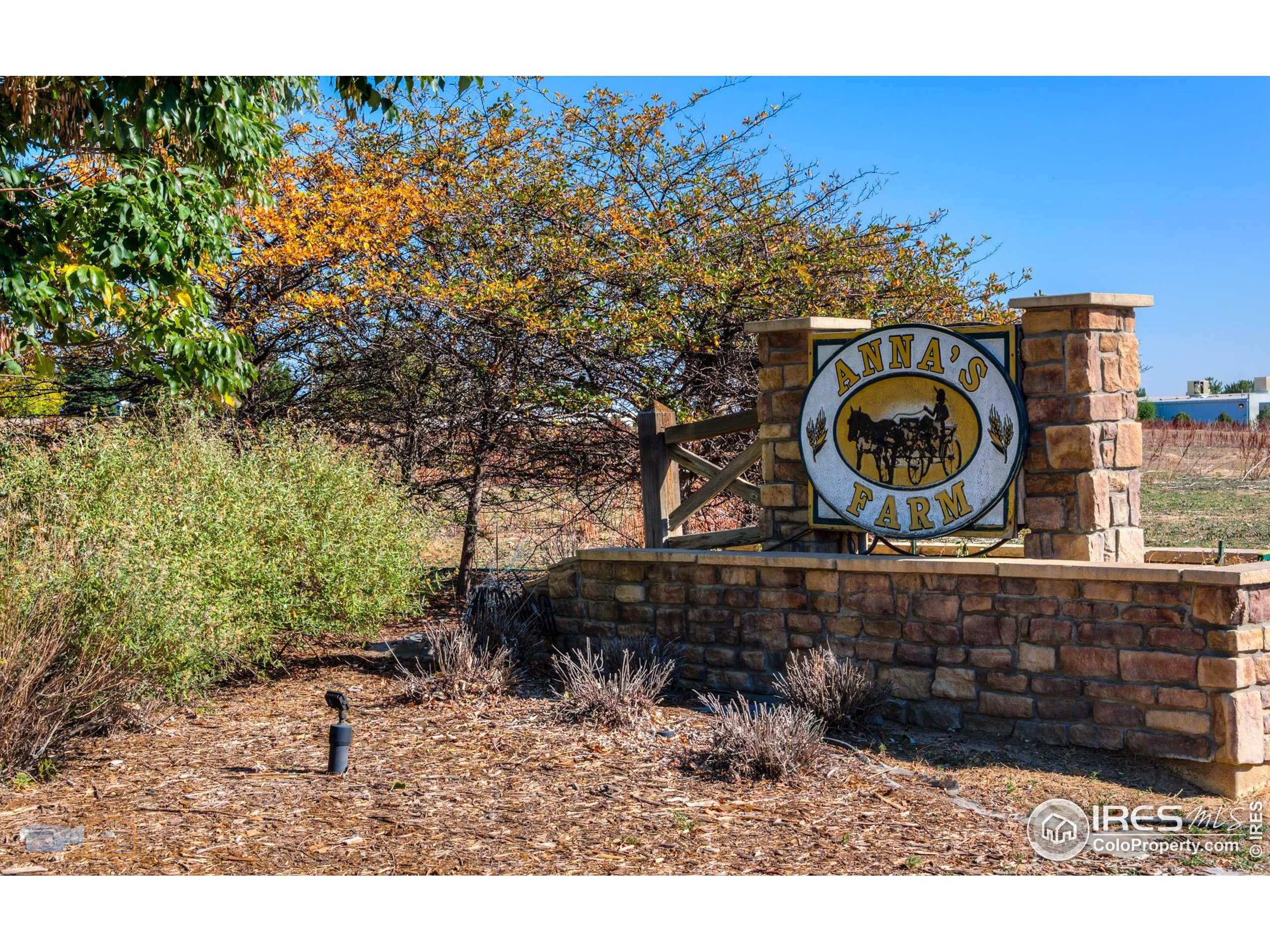 521 Homestead Street Lafayette, CO 80026 - Photo 28 of 38