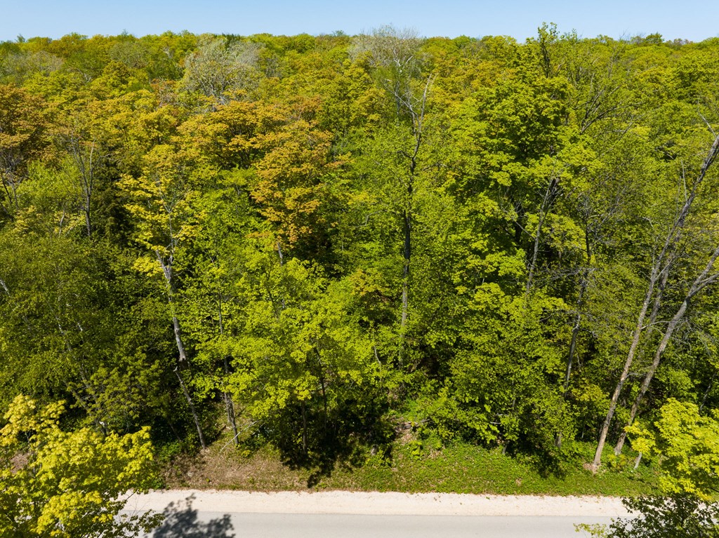 Tbd Cottage Road Ellison Bay, WI 54210 - Photo 2 of 13