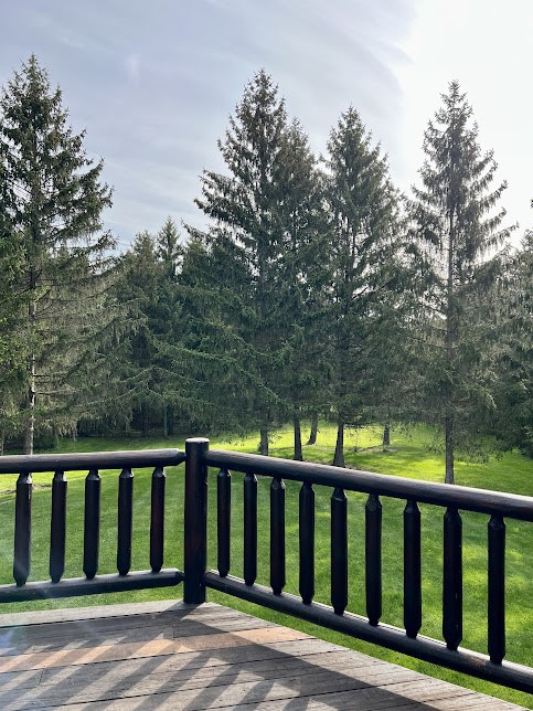 3315 County Line Road Reading, NY 14891 - Photo 6 of 29