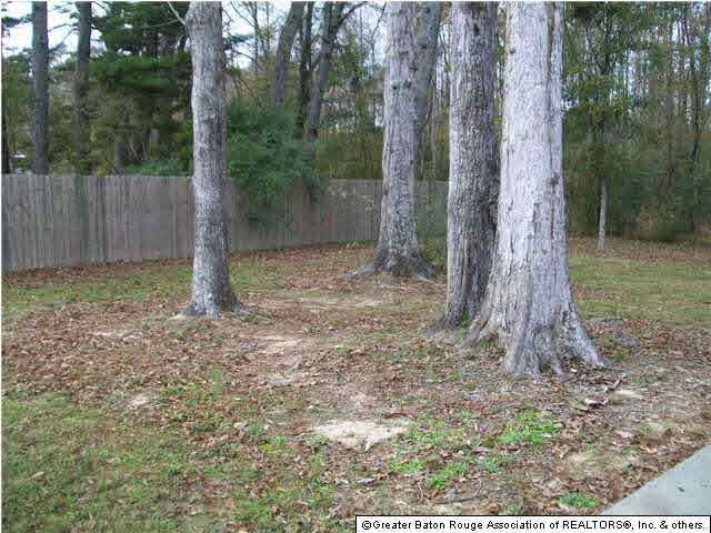33739 Clinton Allen Road Denham Springs, LA 70706 - Photo 3 of 9