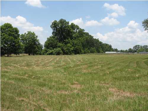 112 West Butcher Switch Road Lafayette, LA 70507 - Photo 1 of 3 Primary Photo