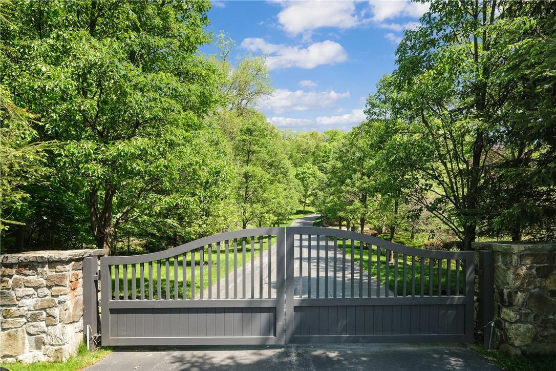 a view of a bench in the backyard