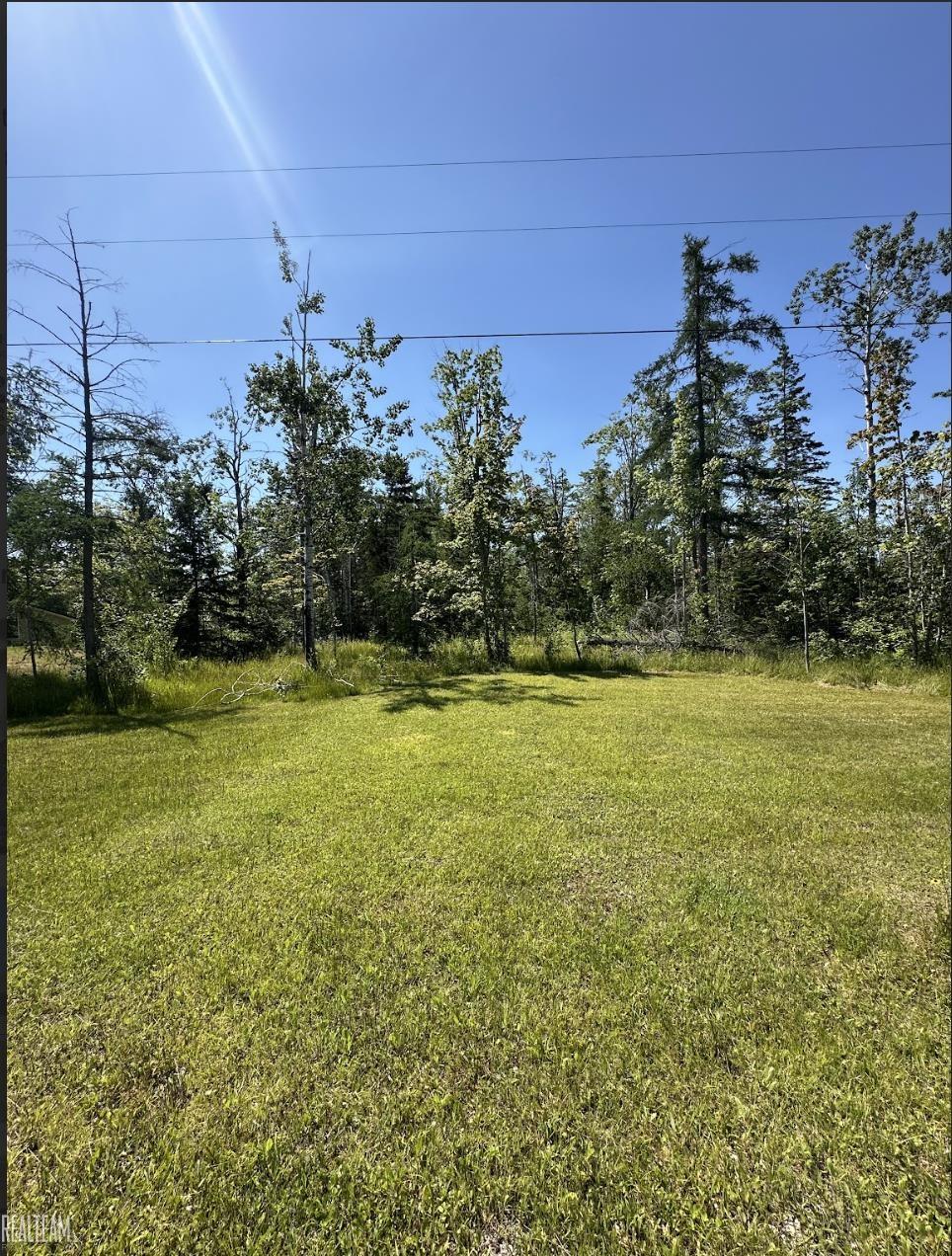 16865 Grace Harbor Road Millersburg, MI 49759 - Photo 31 of 35