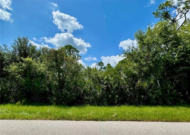 a view of a yard and entertaining space