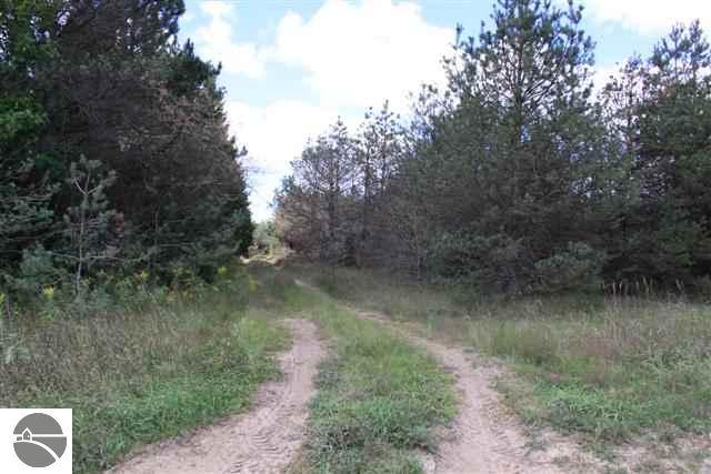 4773 North 5 1/2 Road Mesick, MI 49668 - Photo 20 of 25 1739206-19.JPG