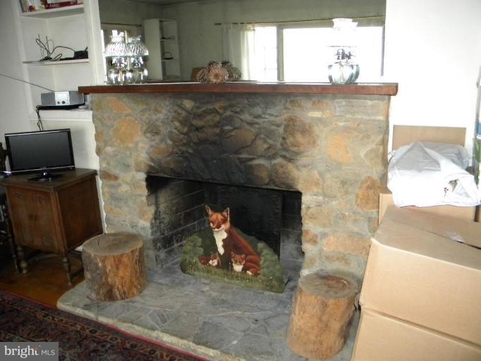 13422 Loyalty Road Leesburg, VA 20176 - Photo 20 of 30 Fireplace