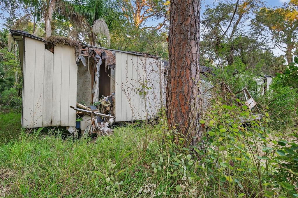 6331 Lost Trail New Port Richey, FL 34653 - Photo 12 of 19 a backyard of a house with lots of green space