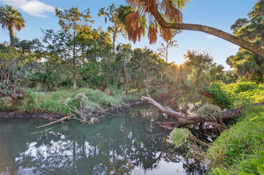 6331 Lost Trail New Port Richey, FL 34653 - Photo 17 of 19 a view of a lake with a tree
