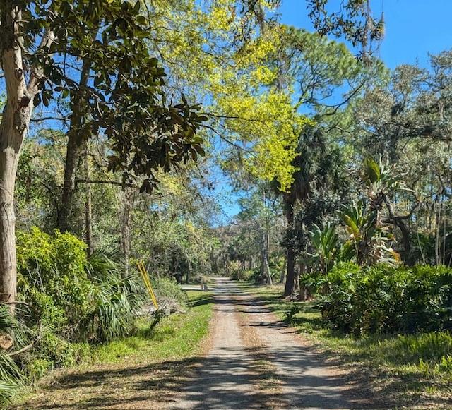 6331 Lost Trail New Port Richey, FL 34653 - Photo 3 of 19 a view of lake with green space