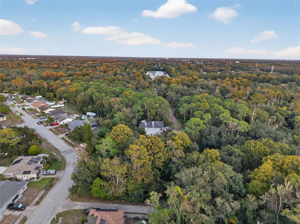 6331 Lost Trail New Port Richey, FL 34653 - Photo 6 of 19 an aerial view of multiple house