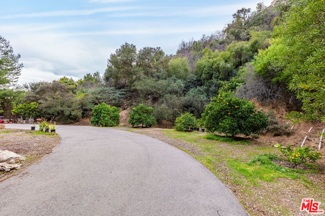 64 Beverly Park Beverly Hills, CA 90210 - Photo 4 of 7 a view of a street with a trees in the background
