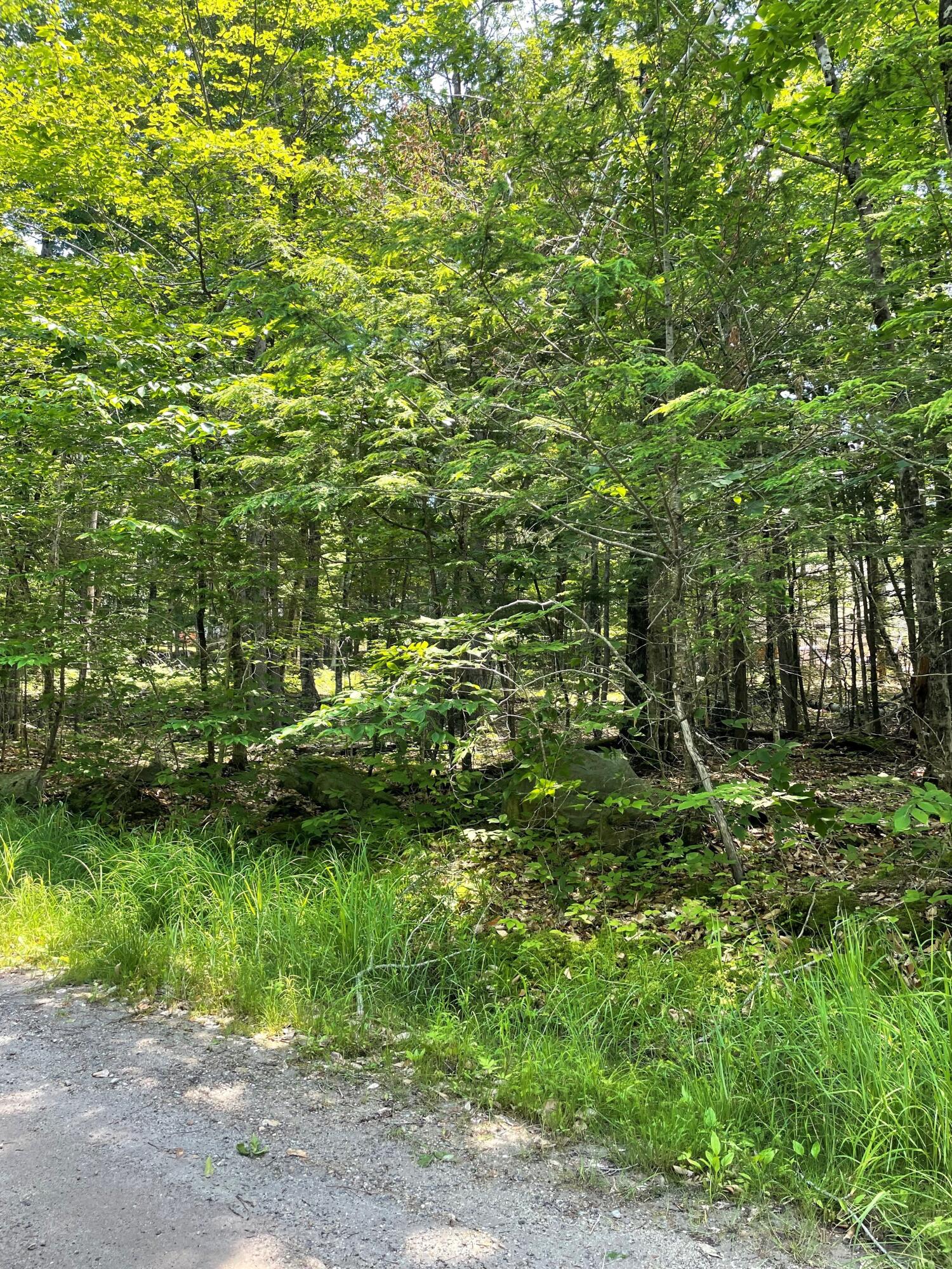 27 North Beach Road Standish, ME 04084 - Photo 7 of 16 Ready to build your dream home?