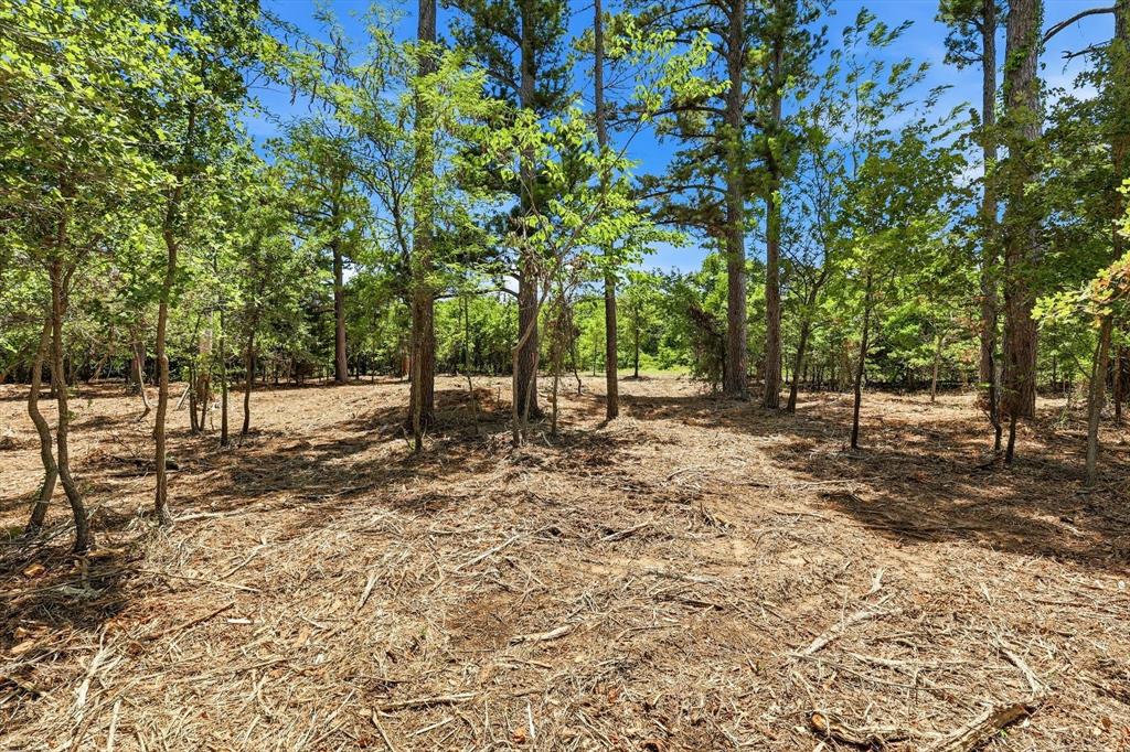 1121 Redbird Grove Road Argyle, TX 76226 - Photo 7 of 29