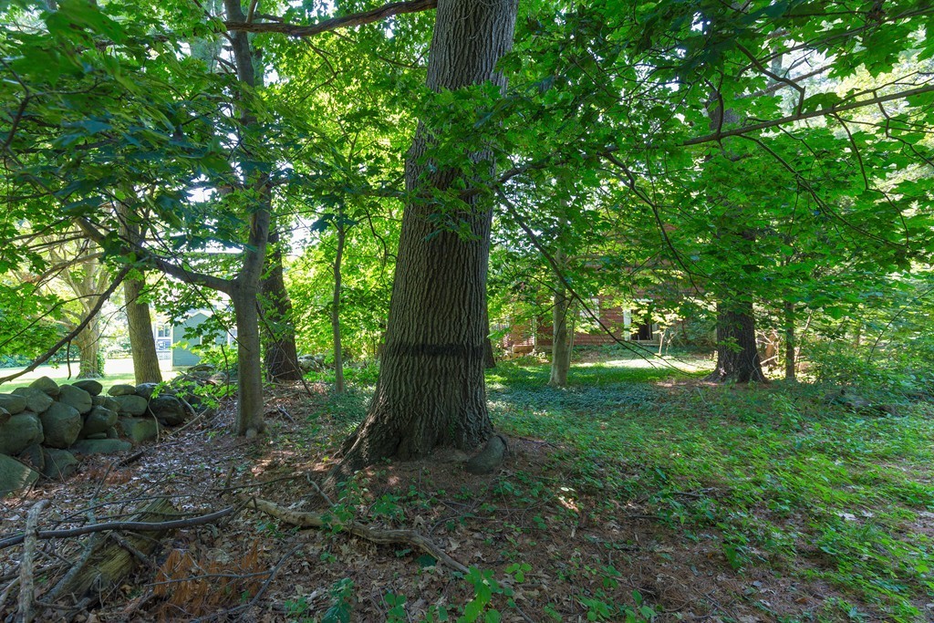 24 Boston Road Westford, MA 01886 - Photo 10 of 17 Gallery Image 10