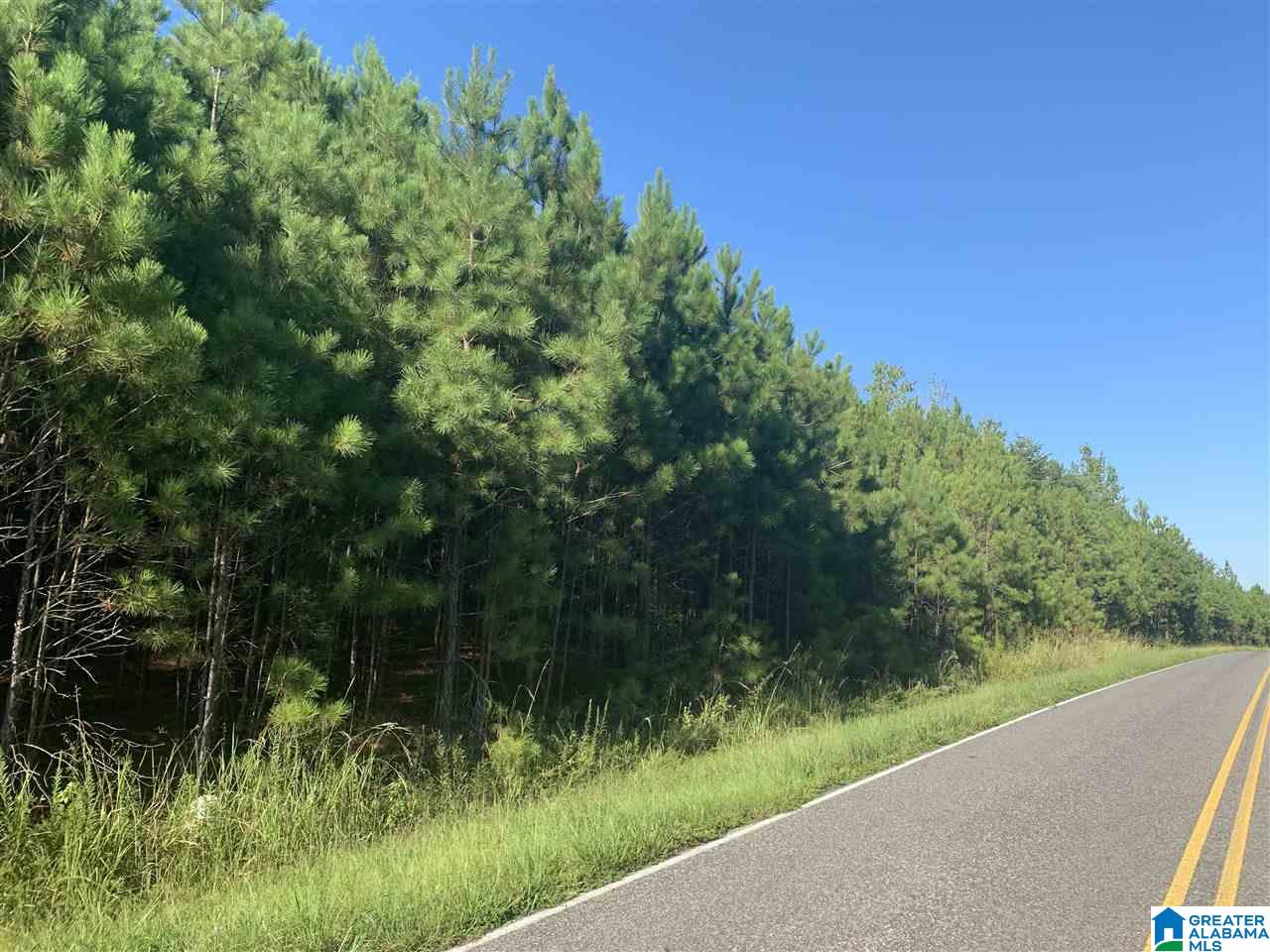Mckesie Street, Unit 40 Riverside, AL 35135 - Photo 6 of 24
