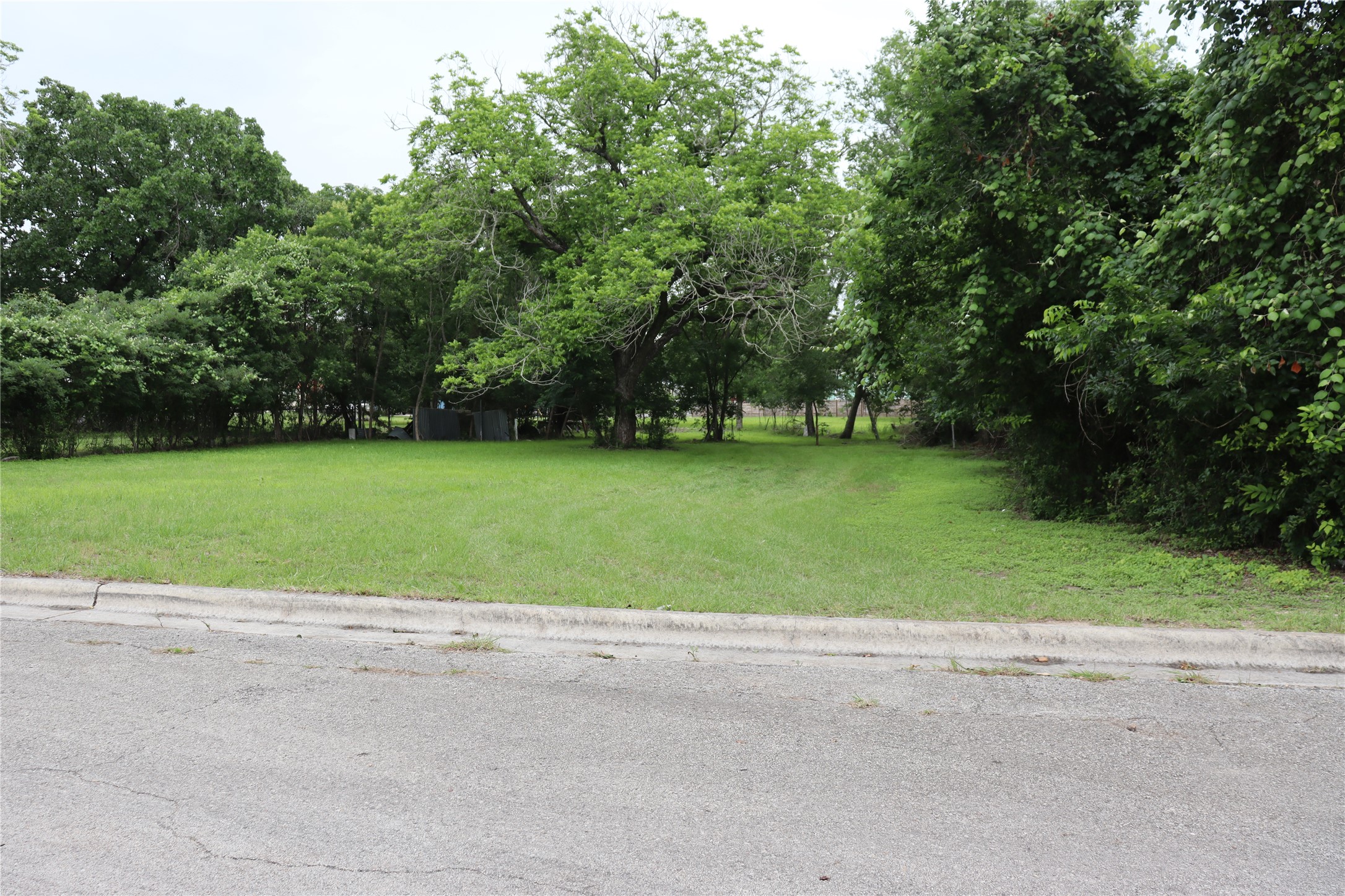 1006 Johnson Street Lockhart, TX 78644 - Photo 5 of 10 Expansive lot featuring a manicured lawn and mature trees
