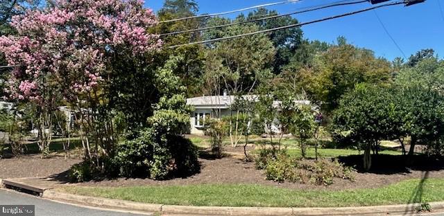 2914 Meadow View Road Falls Church, VA 22042 - Photo 7 of 42 Gallery Image 7