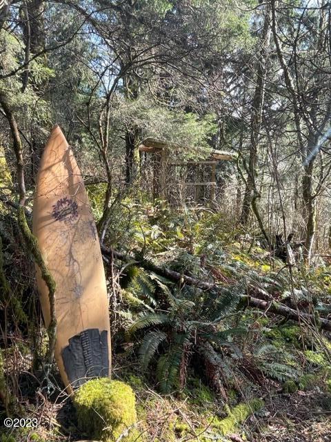 501 Brooten Hill Road Pacific City, OR 97135 - Photo 5 of 18 surf camp