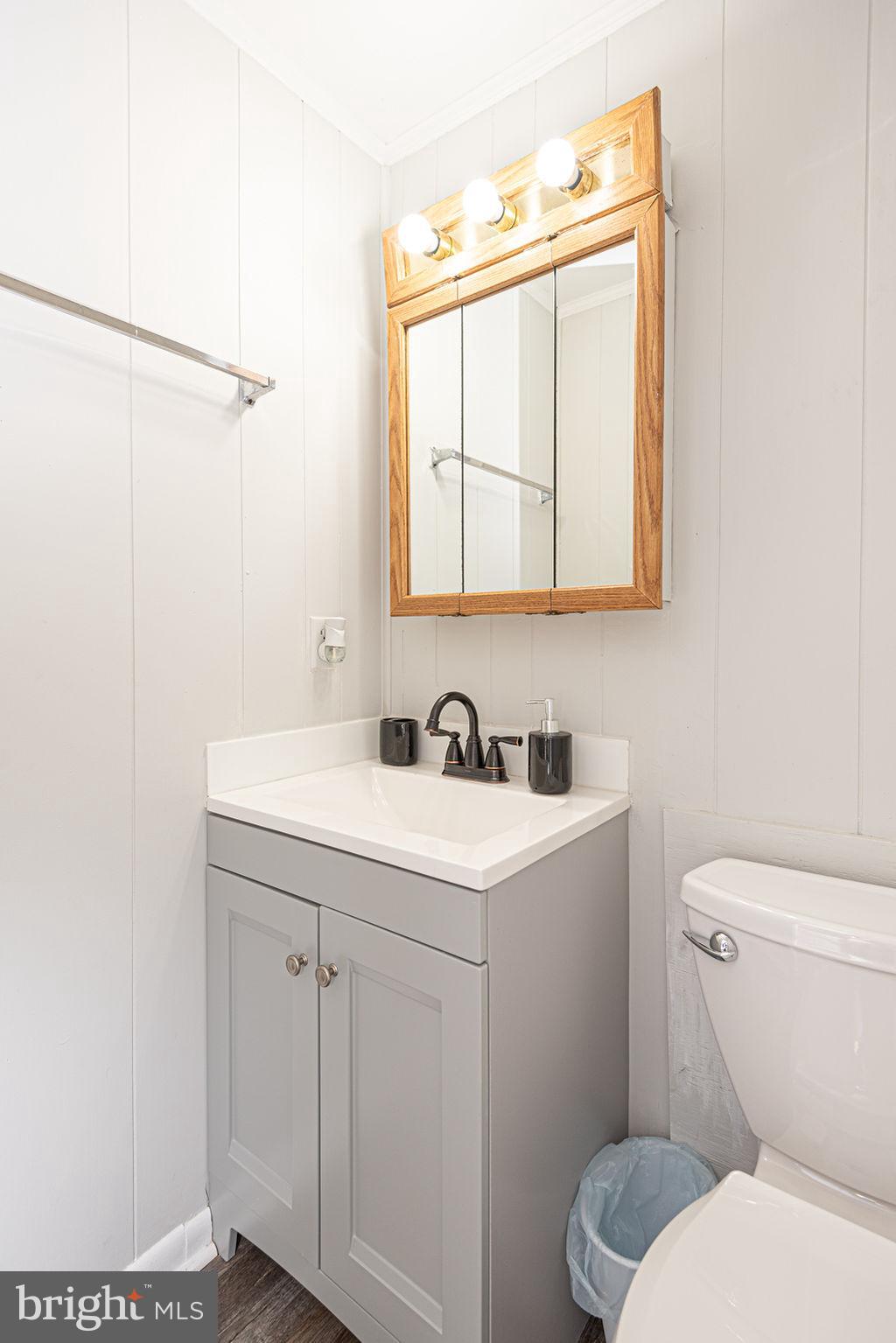 757 Ocean Parkway Ocean Pines, MD 21811 - Photo 6 of 29 a bathroom with a sink a toilet and mirror