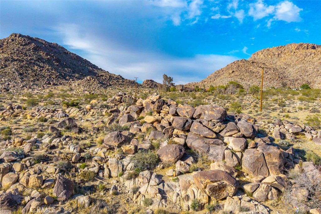 62570 Turtle Road Joshua Tree, CA 92252 - Photo 1 of 22 a view of a large tree with a mountain in the background
