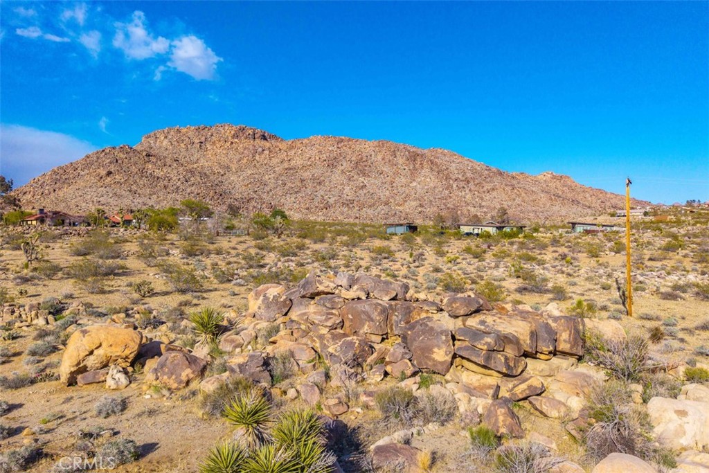 62570 Turtle Road Joshua Tree, CA 92252 - Photo 14 of 22 a view of a mountain