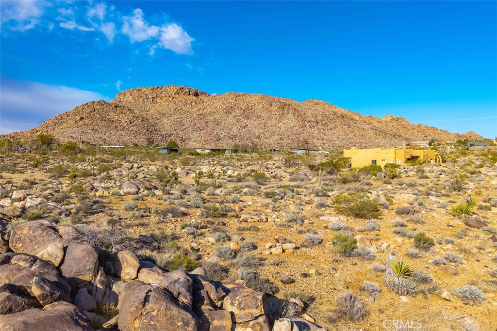 62570 Turtle Road Joshua Tree, CA 92252 - Photo 17 of 22 a view of tall trees
