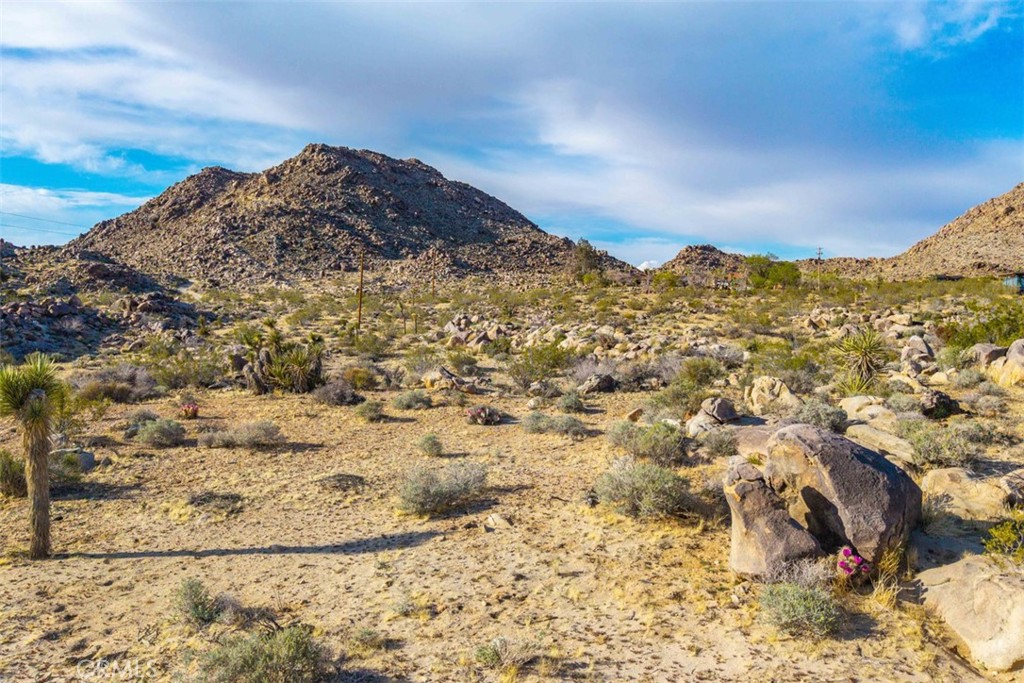 62570 Turtle Road Joshua Tree, CA 92252 - Photo 19 of 22 a view of a sky view