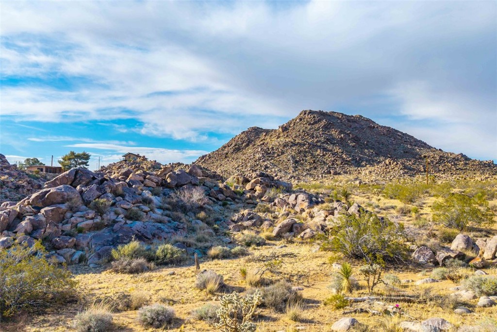 62570 Turtle Road Joshua Tree, CA 92252 - Photo 7 of 22 a view of a large yard