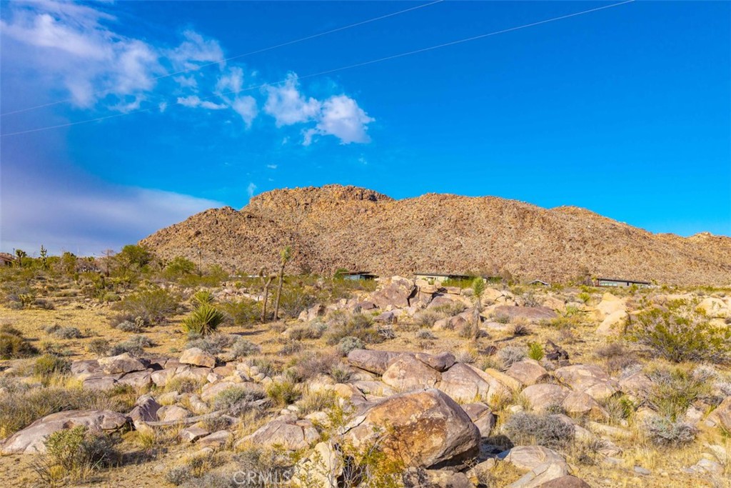 62570 Turtle Road Joshua Tree, CA 92252 - Photo 9 of 22 a view of a field