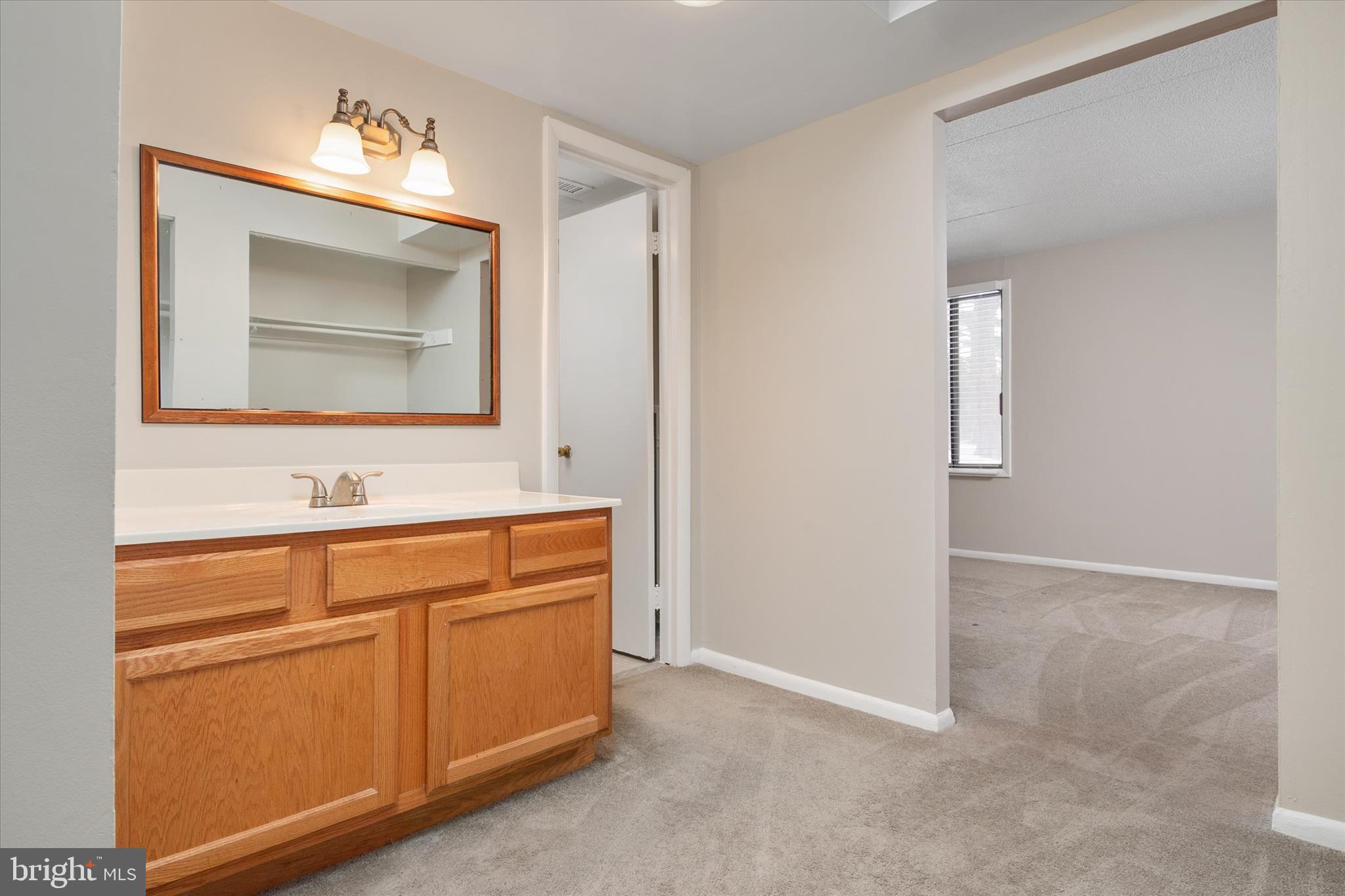 5245 West Running Brook Road, Unit 101 Columbia, MD 21044 - Photo 18 of 33 a bathroom with a sink and a mirror