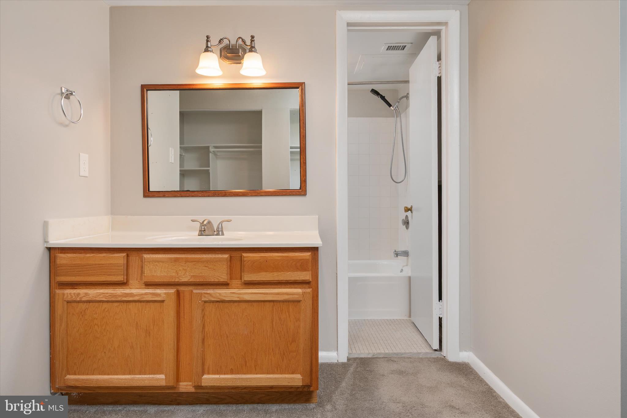 5245 West Running Brook Road, Unit 101 Columbia, MD 21044 - Photo 20 of 33 a bathroom with a sink and a mirror
