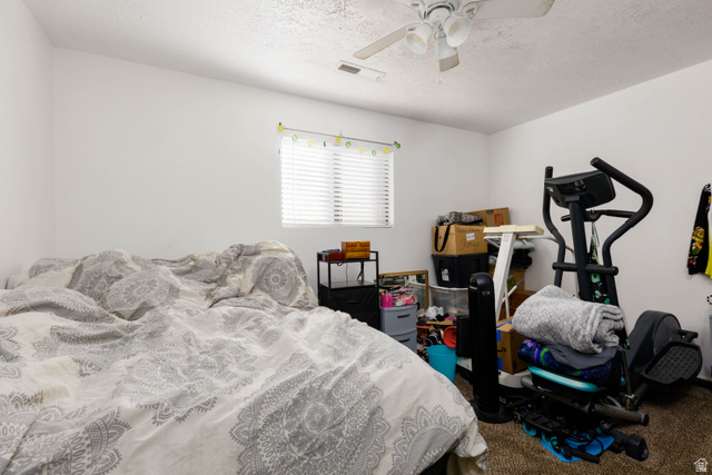 3707 Gates Circle Santa Clara, UT 84765 - Photo 11 of 19 Bedroom featuring ceiling fan, a textured ceiling, and carpet flooring