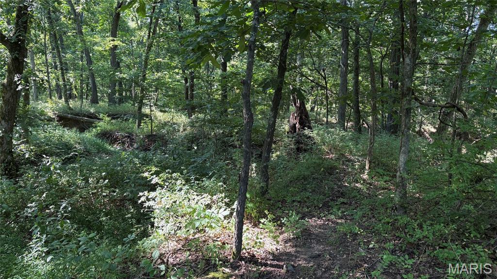 23036 Carlyle Road Thompsonville, IL 62890 - Photo 88 of 99